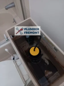 Fixed toilet flusher