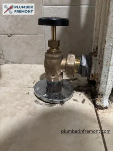 Radiator Valve installation and Replacement